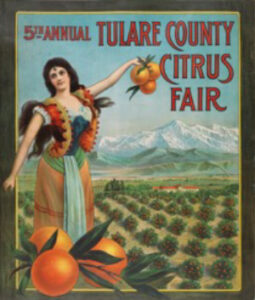 Illustrated colour poster for Citrus fair