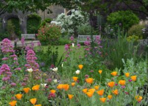 A garden with orange and pink flowers in the foreground, with two wooden benches on a lawn and bricked in arcade covered in creeper in the background.