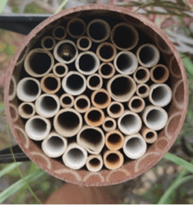 a large hollow pipe filled with smaller hollow pipes for bees to nest in