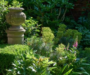 a stone urn and plants in the Norfolk Garden at the Charterhouse